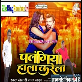 Palangiya Hala Karela Dj Rk मनियार