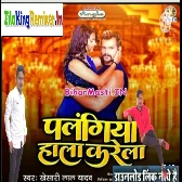 Palangiya Hala Karela Dj Rk मनियार